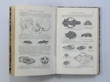 Livre (New illustrated self-instructor in phrenology and physiology : with over one hundred engraving: together with the chart and character of ...). Intérieur de l'imprimé avec illustrations