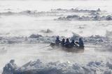 Canotières dans la « fumée de mer » du Saint-Laurent par une froide journée de janvier