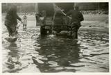Munis de salebardes, des hommes cueillent le capelan et le charge à l'arrière d'un camion sur la plage de Saint-Irénée - vers 1930-1940.