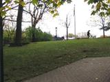 Parc du Cavalier-du-Moulin. Vue d'ensemble