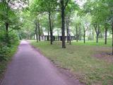 Parc du Mont-Royal. Vue d'ensemble