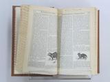 Livre (The treasury of natural history, or, A popular dictionary of animated nature : in which the zoological characteristics that distinguish the different classes, genera, and species, are combined with a variety of interesting information illustrative of ...). Intérieur de l'imprimé avec signature