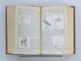 Livre (The treasury of natural history, or, A popular dictionary of animated nature : in which the zoological characteristics that distinguish the different classes, genera, and species, are combined with a variety of interesting information illustrative of ...). Intérieur de l'imprimé