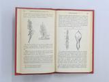 Livre (Traité élémentaire de botanique : à l'usage des maisons d'éducation et des amateurs qui voudraient se livrer à l'étude de cette science sans le secours d'un maître). Intérieur de l'imprimé
