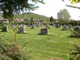 Cimetière de Sainte-Brigitte. Vue d'ensemble