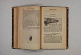 Livre (How I came to be governor of the Island of Cacona : with a particular account of my administration of the affairs of that island, respectfully dedicated to my fellow labourers in the colonial vineyard). Intérieur de l'imprimé 