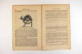 Brochure (Cultivation of flax : practical hints on the cultivation and treatment of the flax plant : expressly for the use and benefit of the Canadian farmer). Intérieur de l'imprimé avec illustration