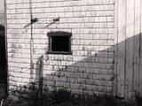 Grange-étable. Détail de fenêtre sur le mur gouttereau nord. Vue avant