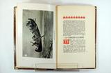 Livre (La chasse galerie and other Canadian stories). Intérieur de l'imprimé et illustration