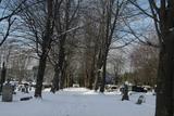 Cimetière Très-Saint-Coeur-de-Marie. Vue générale