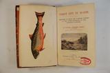 Livre (Forest life in Acadie : sketches of sport and natural history in the lower provinces of the Canadian Dominion). Page de titre