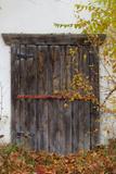 Caveau à légumes 2. Porte