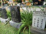 Monument Chan Kwok Ping. Vue d'ensemble