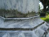 Monument de William Delany