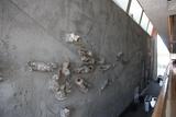 Murale (Sans titre). Vue de détail