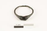 Bague. Vue générale