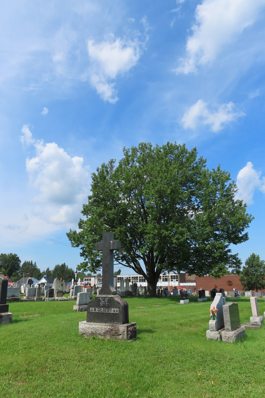 Cimetière de SaintÉphremdeBeauce Répertoire du patrimoine culturel