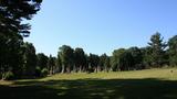 Cimetière Saint-Patrick. Vue générale