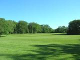 Parc du Bois-de-Coulonge. Vue d'ensemble