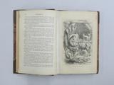 Livre (The adventures of Robinson Crusoe). Intérieur de l'imprimé avec illustration