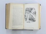 Livre (Acadian geology : an account of the geological structure and mineral resources of Nova Scotia and portions of the neighbouring provinces of British America). Intérieur de l'imprimé