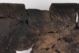 Fragments de vase. Détail du décor, face interne