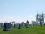 Cimetière de Saint-David. Vue d'ensemble