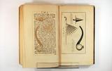Livre (Travels through the interior parts of North-America, in the years 1766, 1767 and 1768). Intérieur de l'imprimé avec illustration