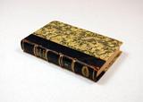 Livre (Pélerinage à Jérusalem et au Mont-Sinaï : en 1831, 1832 et 1833 (Tome II)). Intérieur de l'imprimé