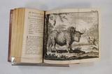 Livre (Nouvelle découverte d'un très grand pays situé dans l'Amérique entre le Nouveau Mexique et la mer glaciale : avec les cartes & les figures nécessaires & de plus l'histoire naturelle & morale & les avantages qu'on en peut tirer par l'établissem. des colon, le tout dédié à sa Majesté britannique Guillaume III). Intérieur de l'imprimé avec illustration