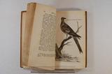 Livre (Travels into North America : containing its natural history, and a circumstantial account of its plantations and agriculture in general : with the civil, ecclesiastical and commercial state of the country, the manners of the inhabitants and several curious and important remarks on various subjects (Tome II)). Illustration