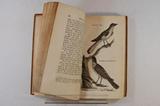 Livre (Travels into North America : containing its natural history, and a circumstantial account of its plantations and agriculture in general : with the civil, ecclesiastical and commercial state of the country, the manners of the inhabitants and several curious and important remarks on various subjects (Tome II)). Illustration