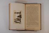 Livre (Album canadien : histoire, archéologie, ornithologie). Intérieur de l'imprimé
