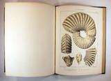 Livre (Geology of North America : with two reports on the prairies of Arkansas and Texas, the Rocky Mountains of New Mexico, and the Sierra Nevada of California orginally made for the United States Government). Illustration