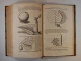 Livre (Novus orbis seu Descriptionis Indiae Occidentalis, libri XVIII : novis tabulis geographicis et variis animantium, planturum fructuumque iconibus illustrati). Illustrations