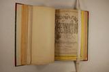 Brochure (The Decline and fall of Keewatin, or, The free-trade Redskins A satire Illustrated by J.W. Bengough). Frontispice et page de titre