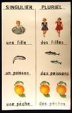 Affiche éducative (Singulier pluriel)