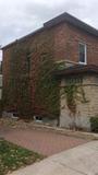 175, rue Saint-Charles Est