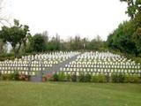 Cimetière des Soeurs grises. Vue d'ensemble