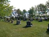 Cimetière de Saint-Eugène. Vue d'ensemble