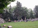 Cimetière de Sainte-Thècle. Vue d'ensemble