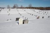 Cimetière de Saint-Edmond