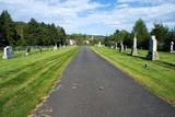 Cimetière de Saint-Henri. Vue générale