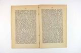 Brochure (Report of the sermon preached by the Rev. M. O'Brien, in St. Patrick's Church, March 17, 1857). Intérieur de l'imprimé