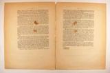Brochure (Lettre pastorale de Monseigneur l'évêque de Tloa sur les élections). Intérieur de l'imprimé