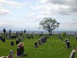 Cimetière Saint-Andrew. Vue d'ensemble