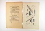 Brochure (Histoire des picea qui se rencontrent dans les limites du Canada). Intérieur de l'imprimé