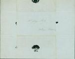 Document (Lettre de Horace Baby à Georges Baby)