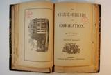 Brochure (The culture of the vine and emigration). Page de titre avec frontispice