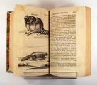 Livre (Travels into North America : containing its natural history, and a circumstantial account of its plantations and agriculture in general : with the civil, ecclesiastical and commercial state of the country, the manners of the inhabitants and several curious and important remarks on various subjects (Tome I)). Intérieur de l'imprimé avec illustration